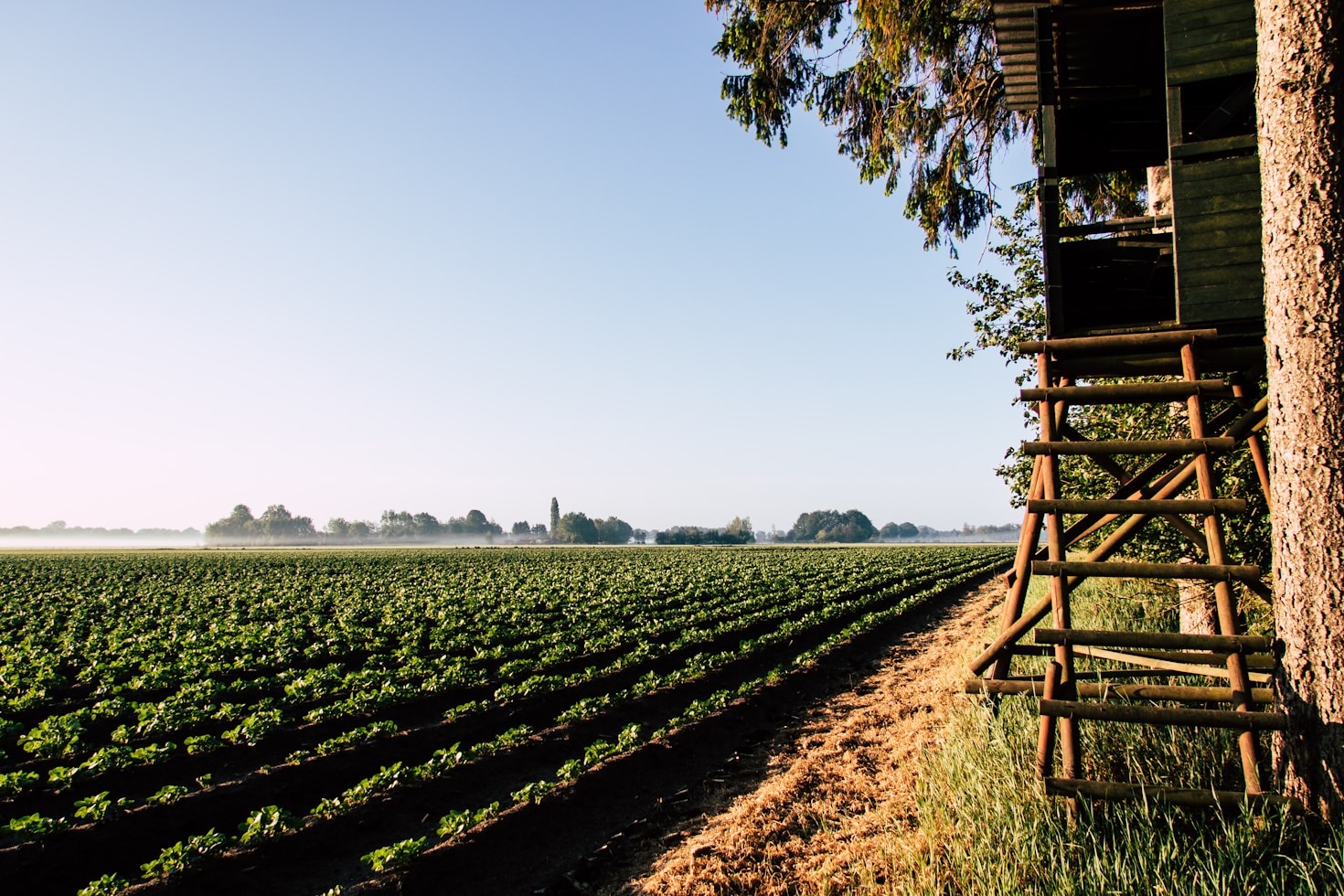 10 Redenen om Drenthe te Bezoeken