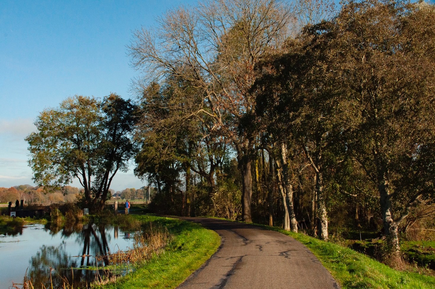 De Beste Wandelroutes in Drenthe