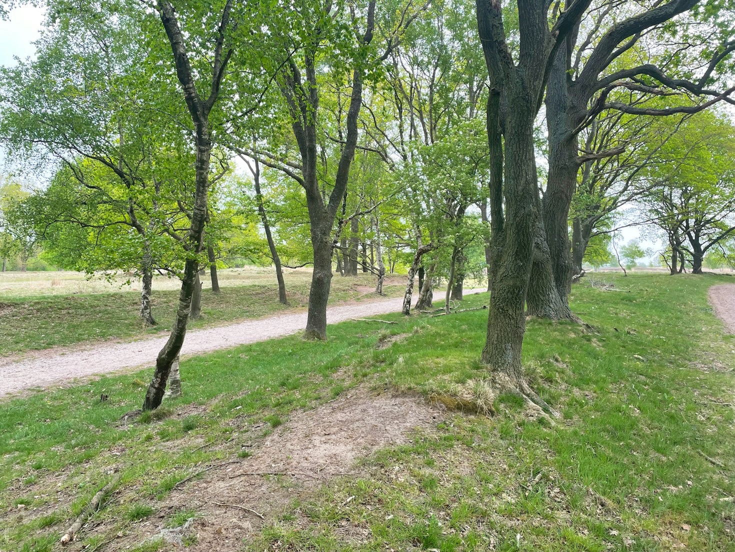 Historische Locaties in Drenthe: Een Gids
