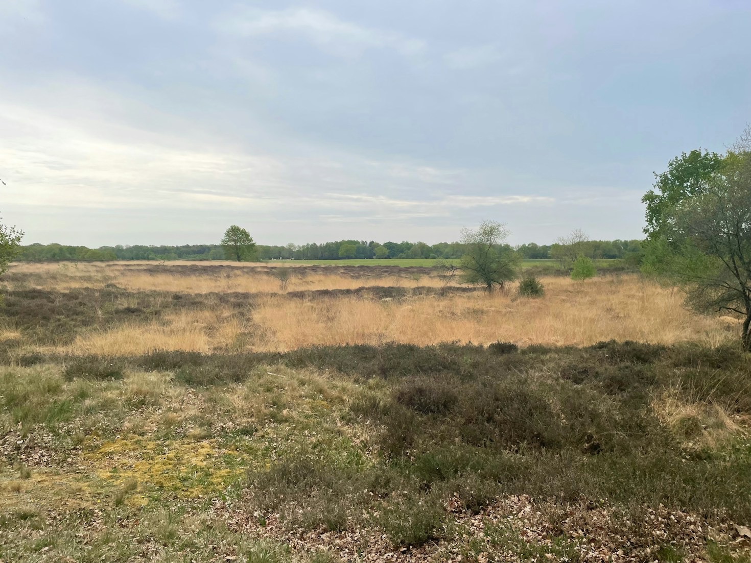 De Smaak van Drenthe: Lokale Gerechten