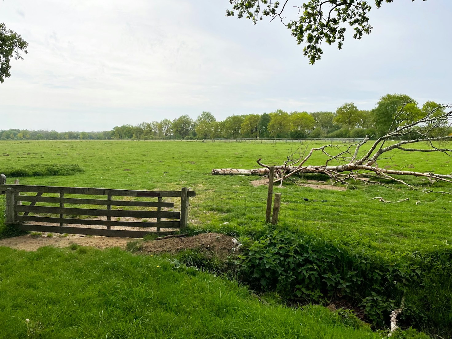 Drenthe’s Verborgen Juwelen Onthuld