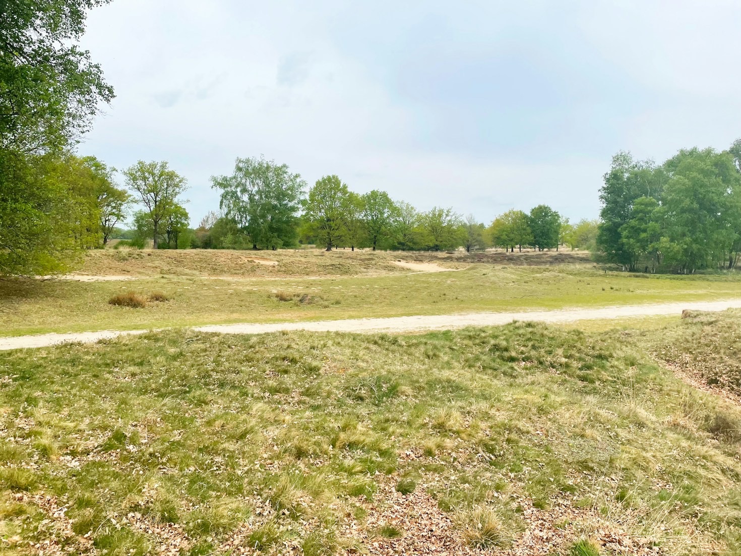 Waarom Drenthe Ideaal is voor een Weekendje Weg